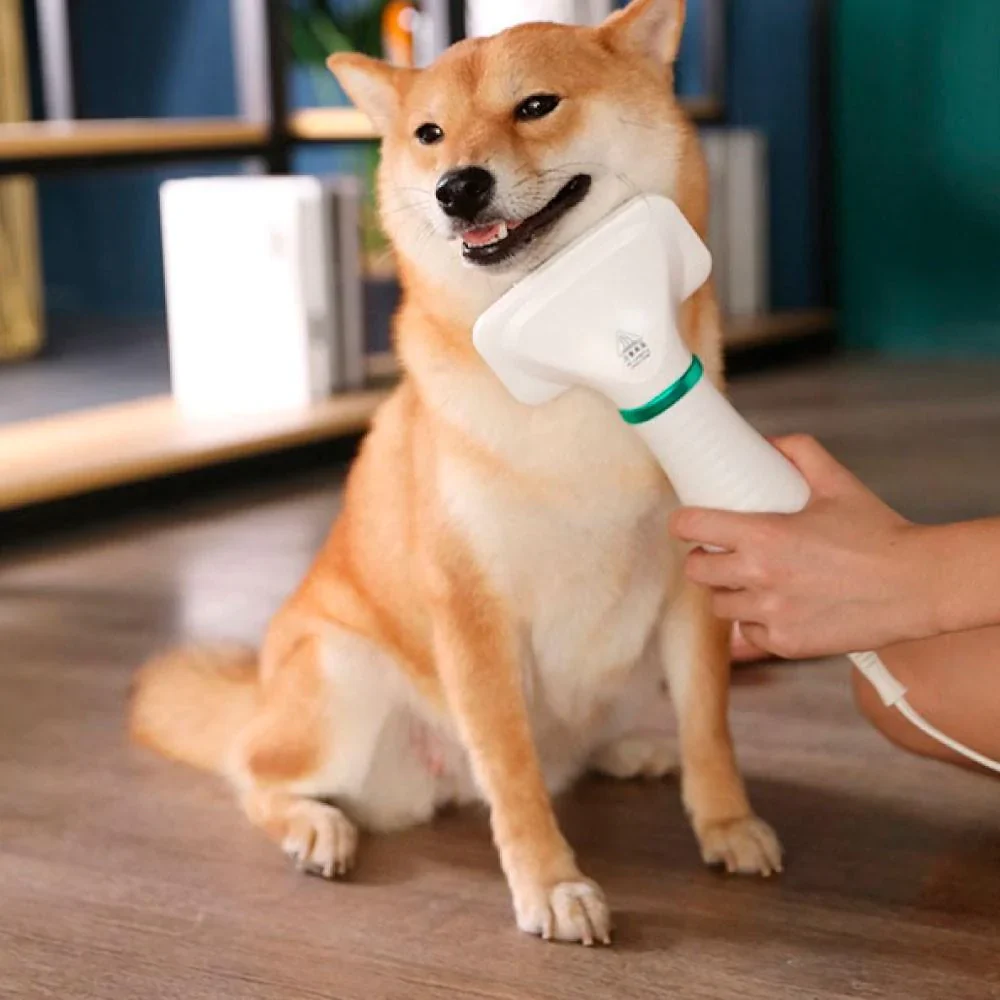 Spazzola Asciugacapelli per animali domestici 2in1 - Image 3